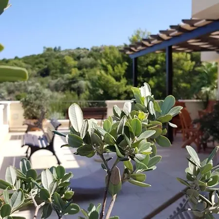 Vakantieboerderij Tenuta Serra Peccatori Specchia